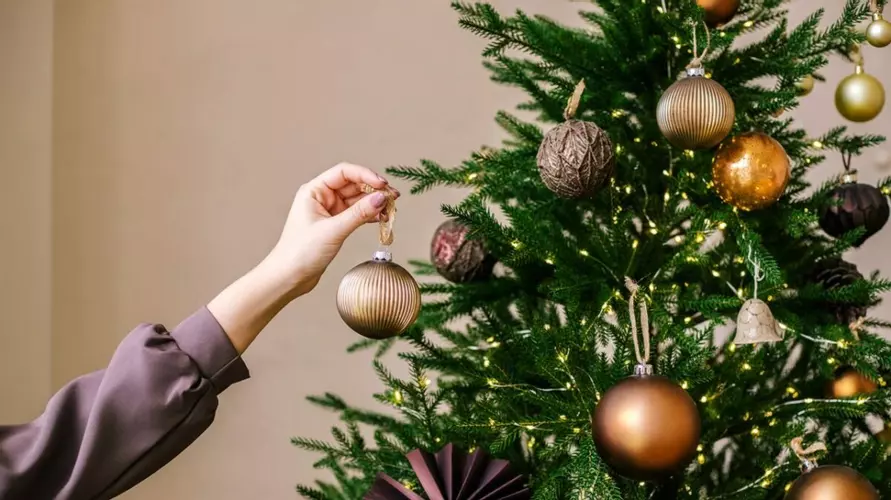 Когда лучше устанавливать новогоднюю ёлку дома? Эксперты назвали два ключевых условия