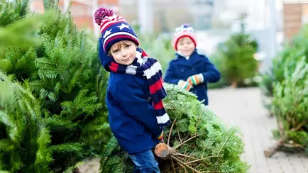 Стало известно, когда заработают ёлочные базары в Минске