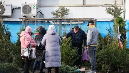 В Минске и Бресте устроили распродажу ёлок по 1 рублю. Всего два дня и при одном условии