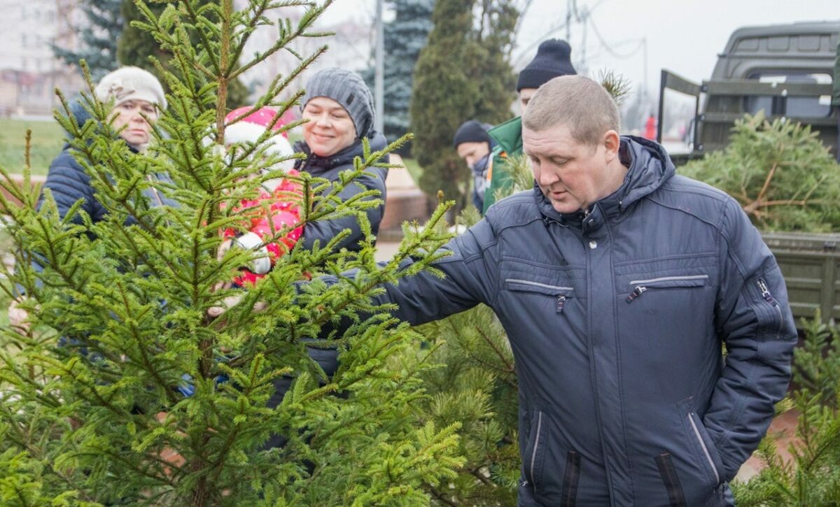 Фото иллюстрационное