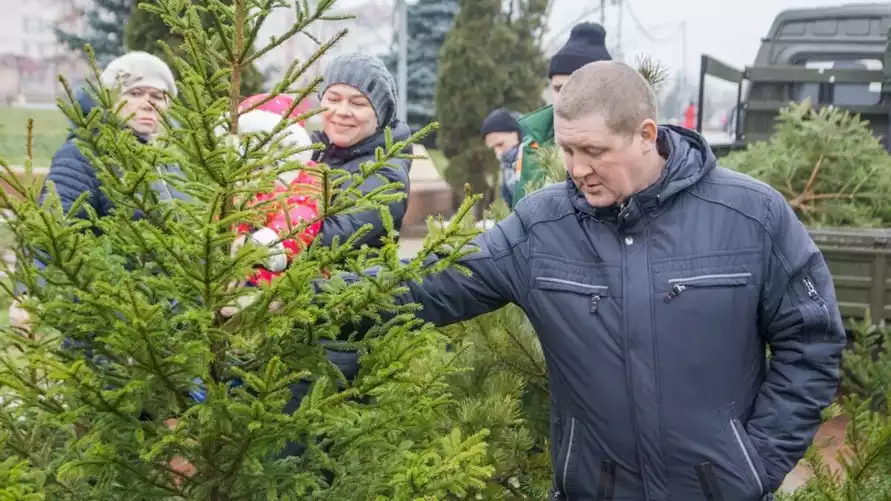 Фото иллюстрационное