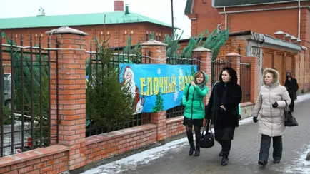 Белорусские лесхозы озвучили цены на живые новогодние ёлки