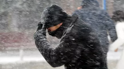 Белгидромет объявил оранжевый уровень опасности из-за ветра до 86 км/ч