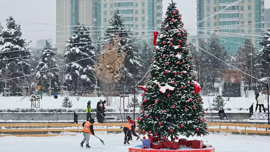 Фото иллюстрационное