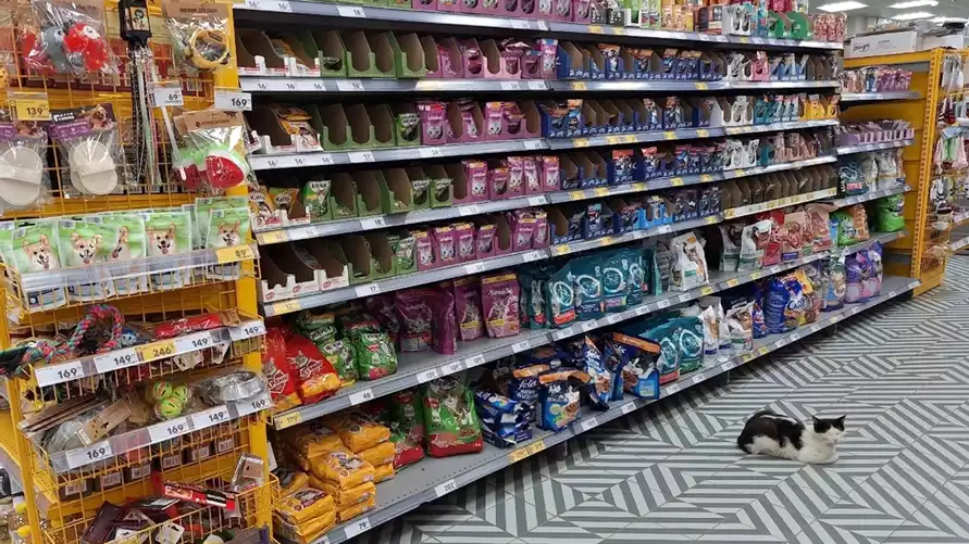 Фото иллюстрационное