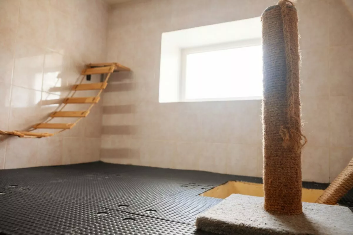 В Минске гостиница для котов предложила люксы по 20 рублей в сутки на новогодние праздники