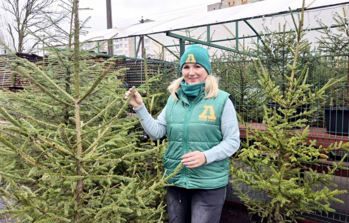 Фото иллюстрационное: Жлобинский лесхоз