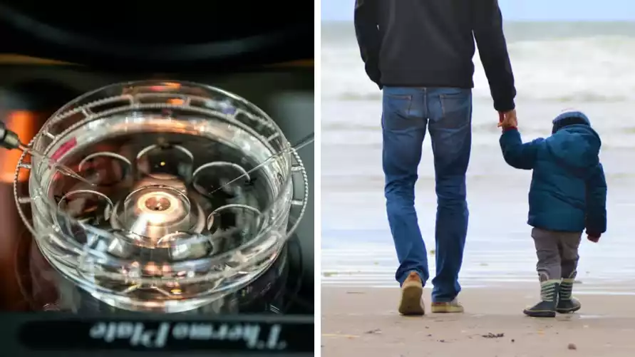 На пороге "Спермагедона"? Учёные назвали год, когда дети чаще будут рождаться с помощью пробирки