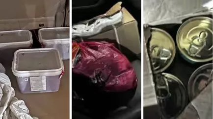 Любите покупать с рук «свежую» красную икру? Россельхознадзор показал, как её везут в Беларусь