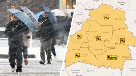 До 72 км/ч. Синоптики объявили оранжевый уровень опасности из-за усиления ветра по всей Беларуси