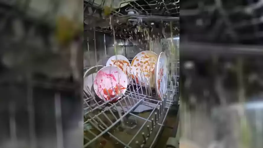 Видео, снятое внутри посудомоечной машины, поразило зрителей. Не то, что ожидали?