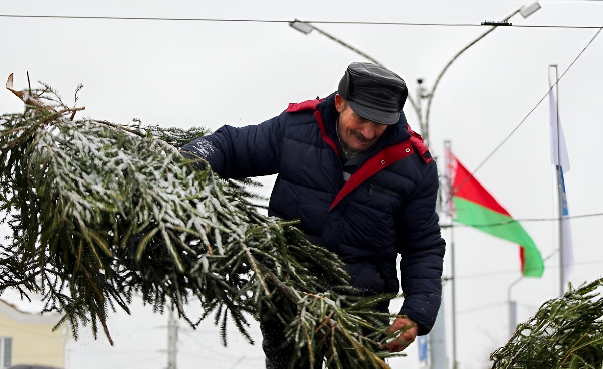 Фото иллюстрационное