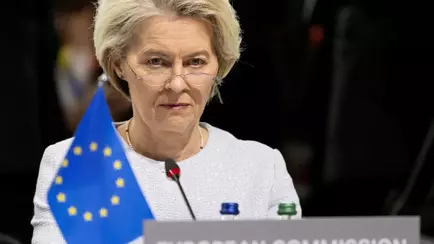 Евросоюз вызвал посла Беларуси для разъяснений. Что известно?