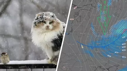 «Очень быстрое» похолодание спрогнозировали белорусам. Когда начнётся «арктический прорыв»?