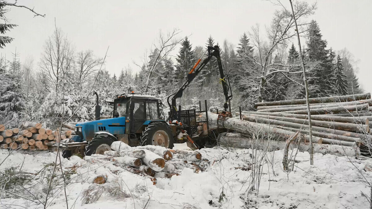 Фото иллюстрационное: av.by