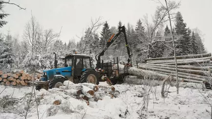В Минлесхозе объяснили, зачем отправили в морозы работников лесхозов в два региона Беларуси — “Финансово заинтересуют”?