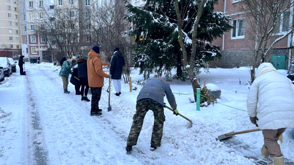 ГАИ оштрафовала жителей Речицы, которые чистили снег. Что сделали не так