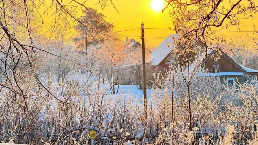 Когда в Беларуси "потеплеет" до -7°C. Белгидромет напомнил, что это не самая холодная зима за 5 лет