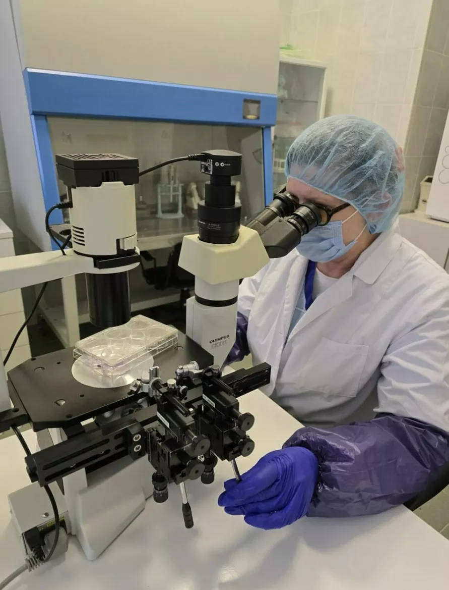 В Беларуси начали подготовку к клонированию домашних животных. Сколько стоит услуга?