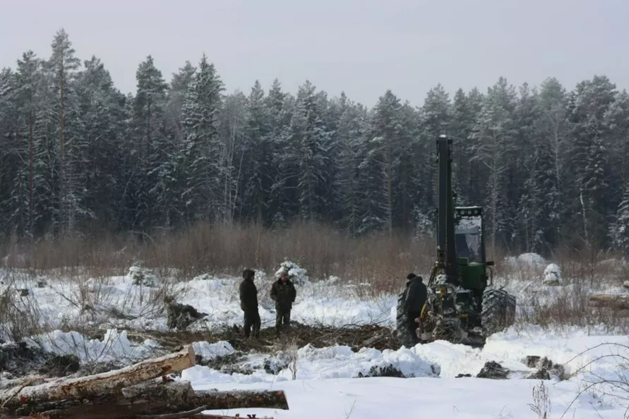В Беларуси нашлось министерство, которое обрадовалось аномальным морозам - Хорошие погодные условия