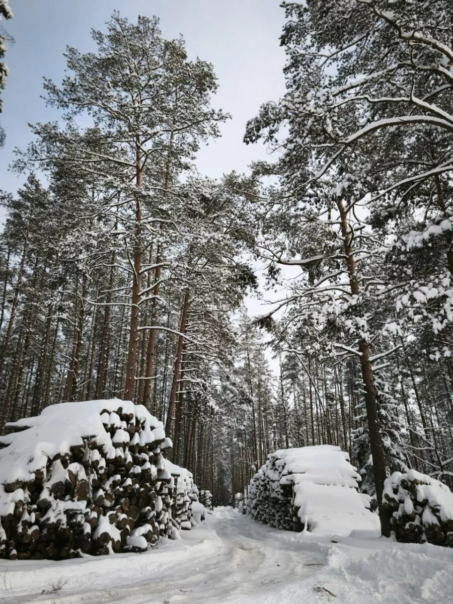 В Беларуси нашлось министерство, которое обрадовалось аномальным морозам - Хорошие погодные условия