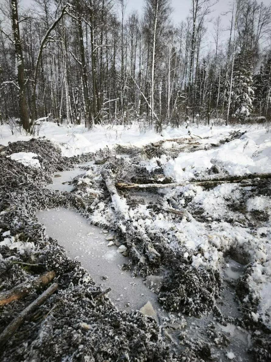 В Беларуси нашлось министерство, которое обрадовалось аномальным морозам - Хорошие погодные условия