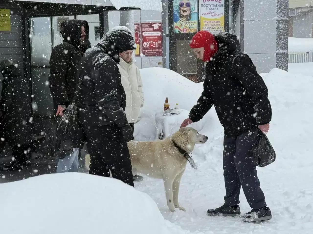На российской Камчатке для перевозки пассажиров привлекли автозаки