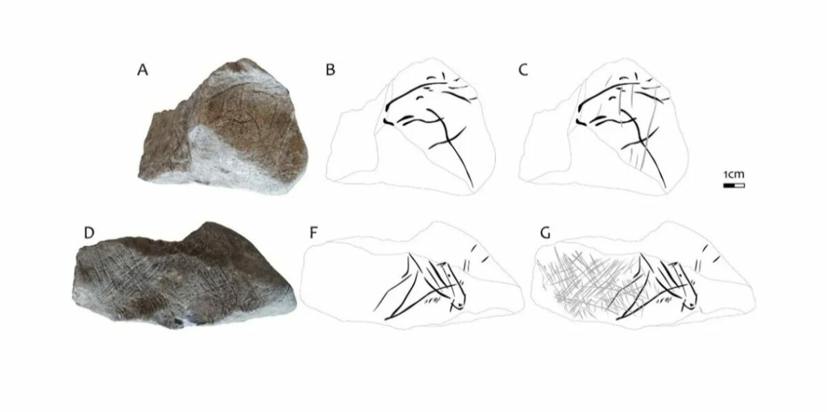 Археологи обнаружили изображения лошадей, которым 16 000 лет