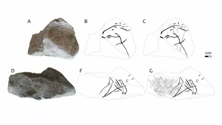 Археологи обнаружили изображения лошадей, которым 16 000 лет