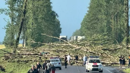 Белгидромет перечислил все аномалии погоды в 2025 году. Будет с чем сравнить 2026
