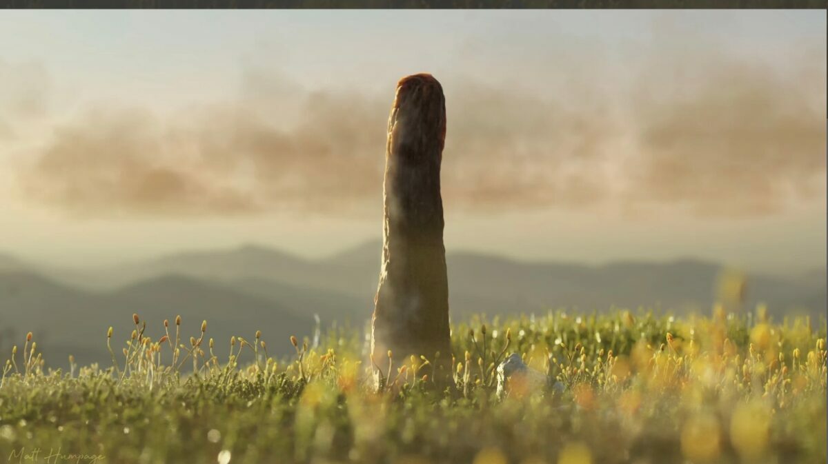 Эти гиганты возвышались на Земле миллионы лет назад: "Другой вид жизни"