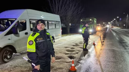 Белорусы в 2025 году чаще садились за руль пьяными — ГАИ