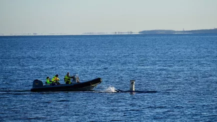 В Балтийском море повредили кабель связи, соединявший Литву с Латвией
