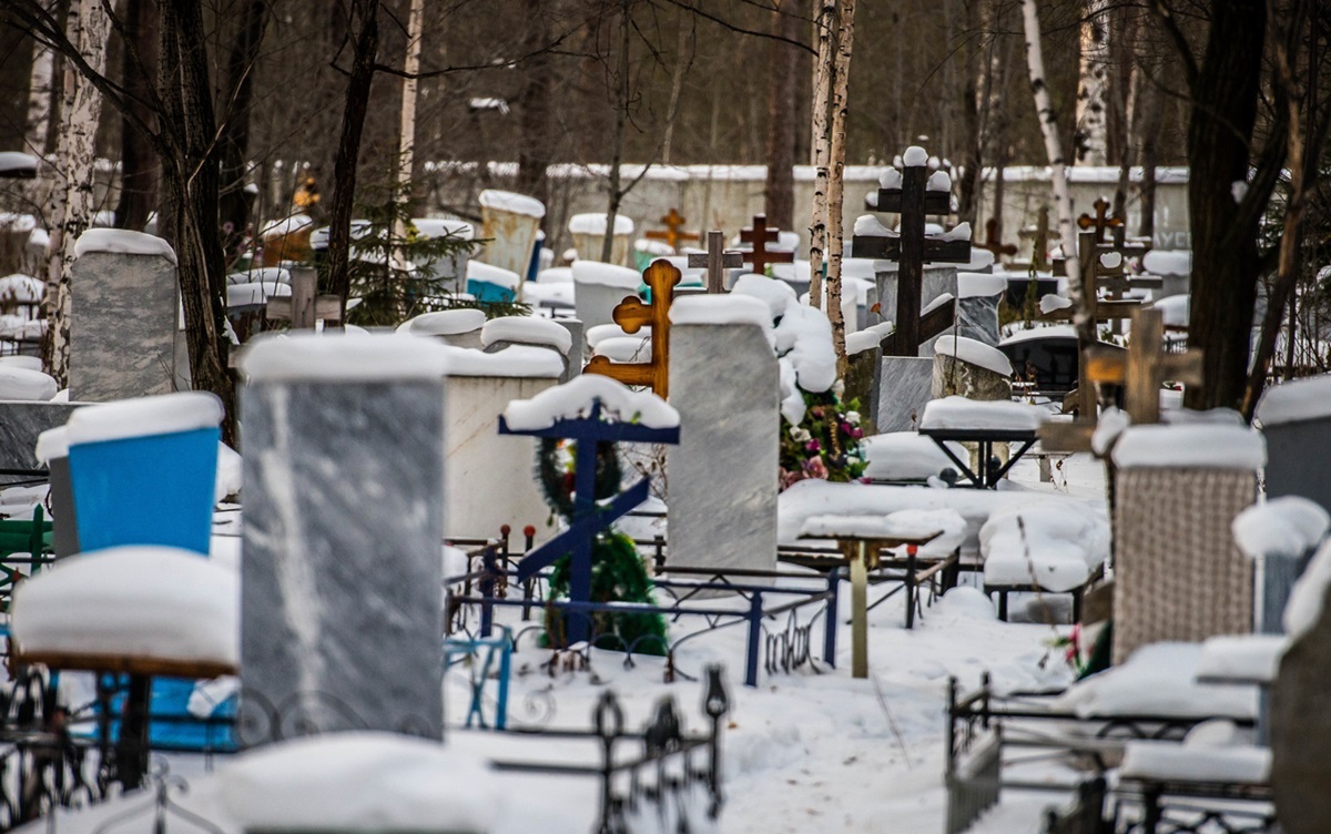 Фото иллюстрационное