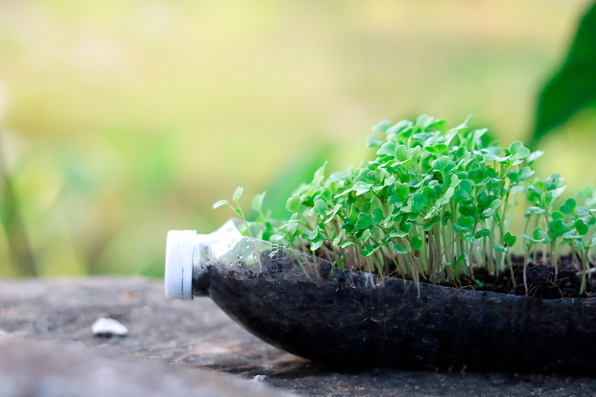 Фото иллюстрационное