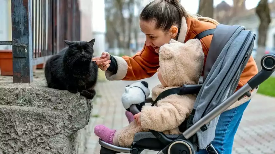 Фото иллюстрационное: ТАСС