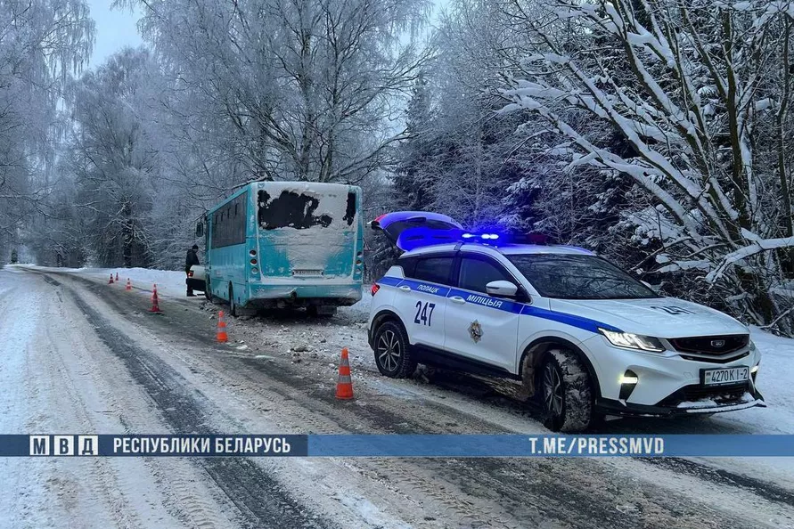 Под Полоцком легковушка вылетела навстречу рейсовому автобусу – двое погибших