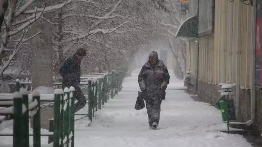 Фото иллюстрационное