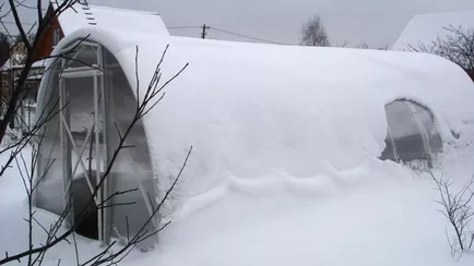 Эти простые манипуляции с теплицей стоит провести всем дачникам — сэкономите на ремонте до 230 BYN