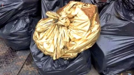 Мужчина случайно выкинул в мусорку золото на 130 тыс евро