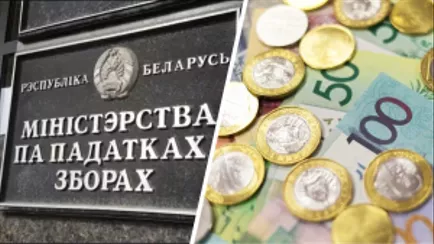 МНС призвало часть белорусов срочно зайти в ЕРИП «во избежание финансовых санкций»